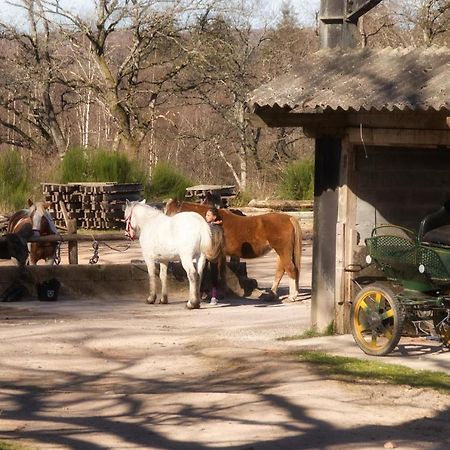 Domaine Du Bois Du Loup Saint-Agnan (Nievre) Exterior foto